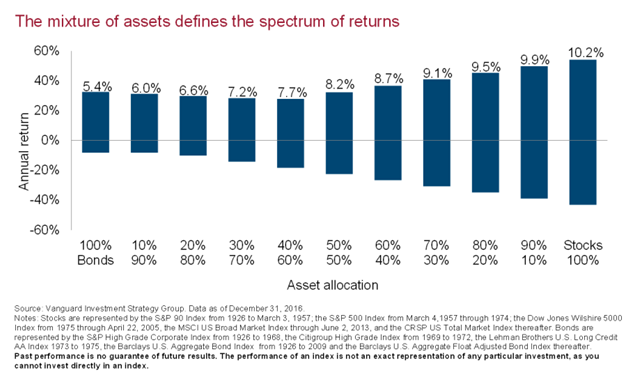 Asset Allocation and Respective Annual Returns.png